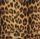 swatch leopard