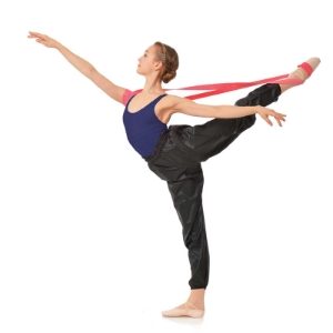 Gaynor Minden Flexibility Band 